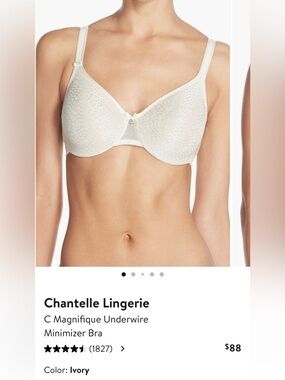 Chantelle Ivory C Magnifique Minimizer Underwire Bra 34 DDDD